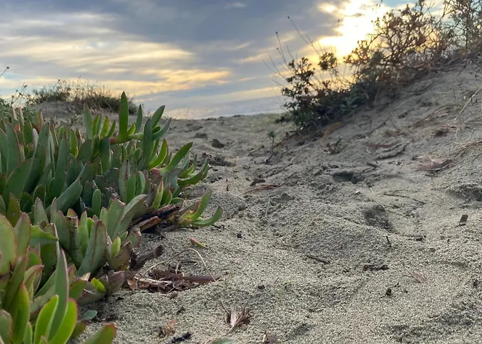 Casa vacanze La Emmagathe Poggio Mezzana